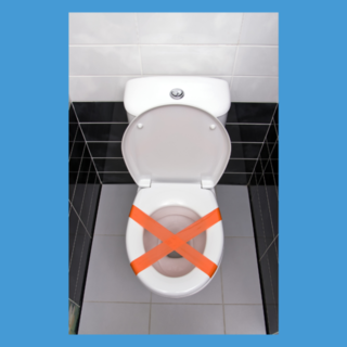 Can you flush paper towels down the toilet?