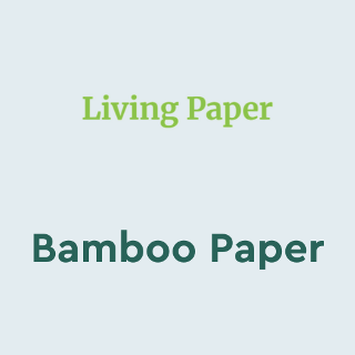 Bamboo Paper