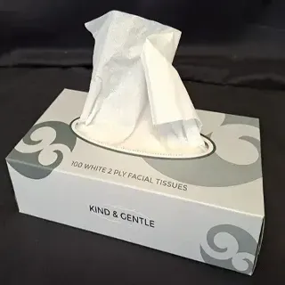 Tissues Facial Box 100's - Hygiene Direct