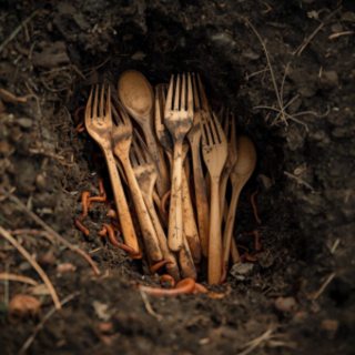 Do Council Composting Rules in NZ Affect Biodegradable Cutlery Use?