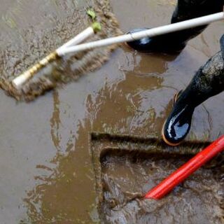 How to Clean Poultry Boots and Manage Footbaths for Bird Flu Biosecurity